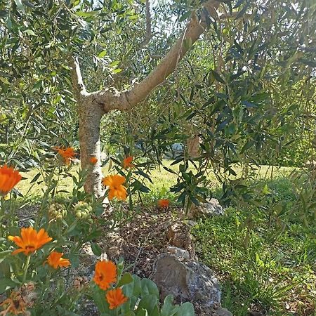 La Mandriana Villa Massa Marittima Dış mekan fotoğraf