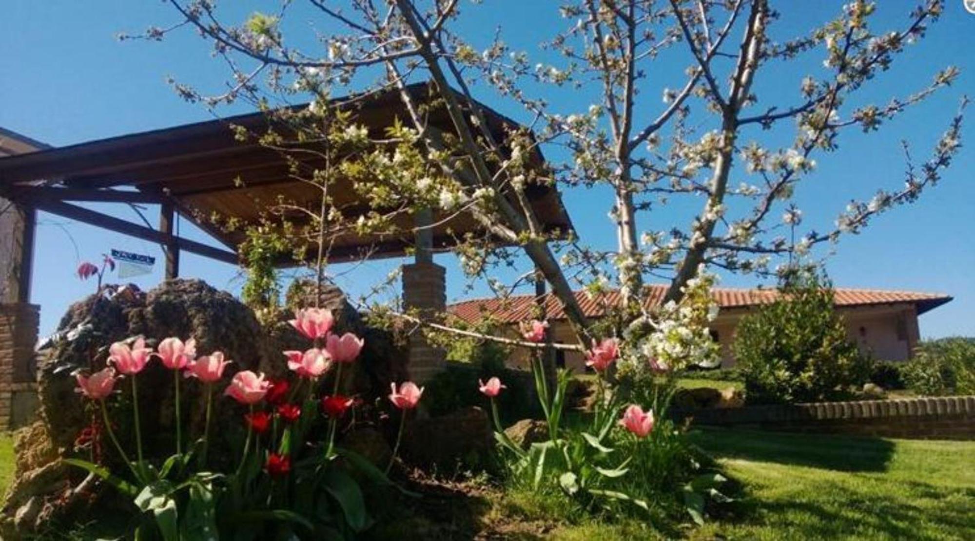 La Mandriana Villa Massa Marittima Dış mekan fotoğraf
