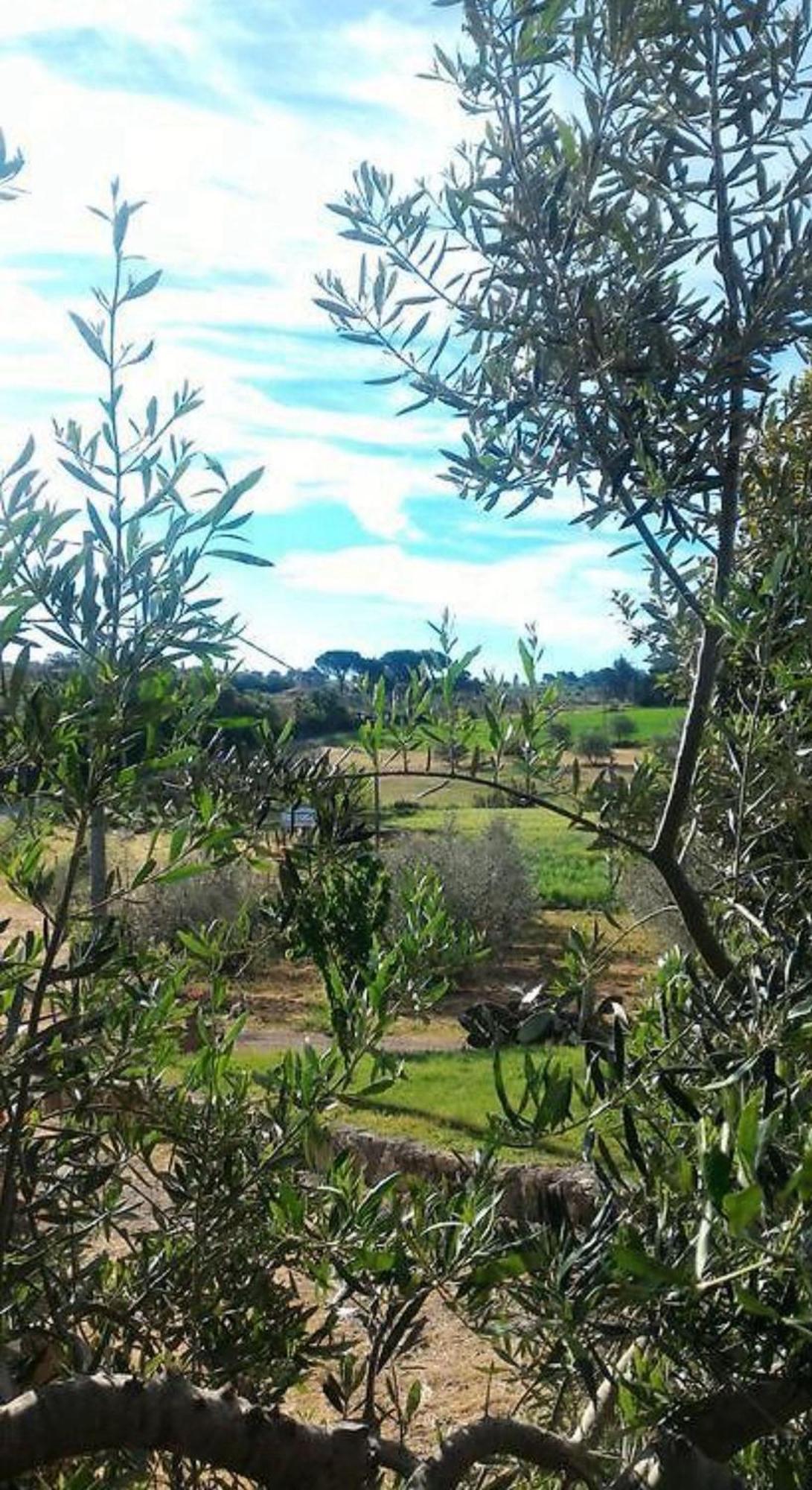 La Mandriana Villa Massa Marittima Dış mekan fotoğraf