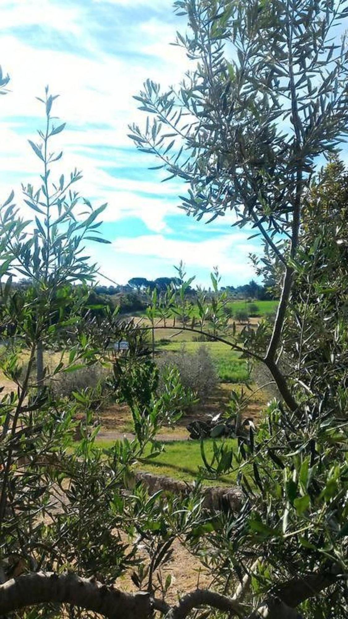 La Mandriana Villa Massa Marittima Dış mekan fotoğraf